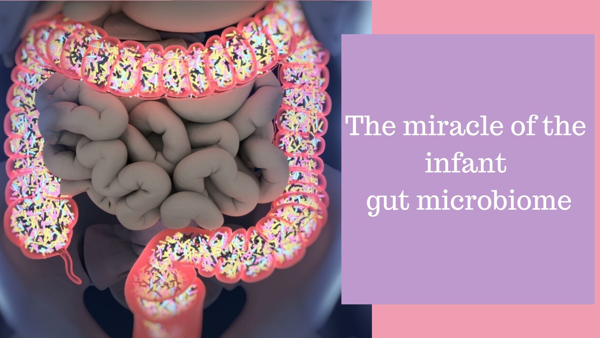The miracle of the Infant microbiome