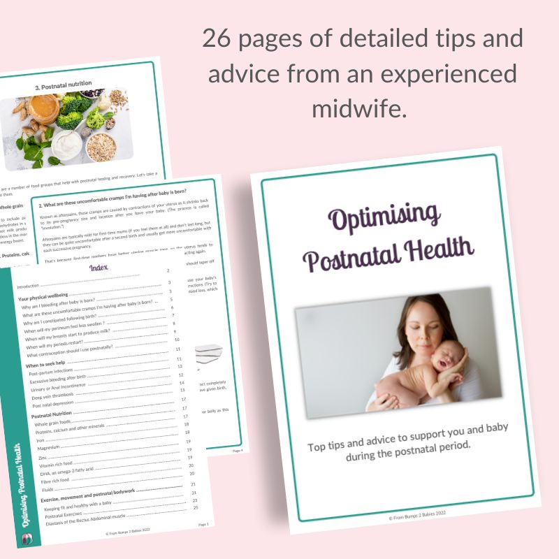 E-Book : Optimising Postnatal Health